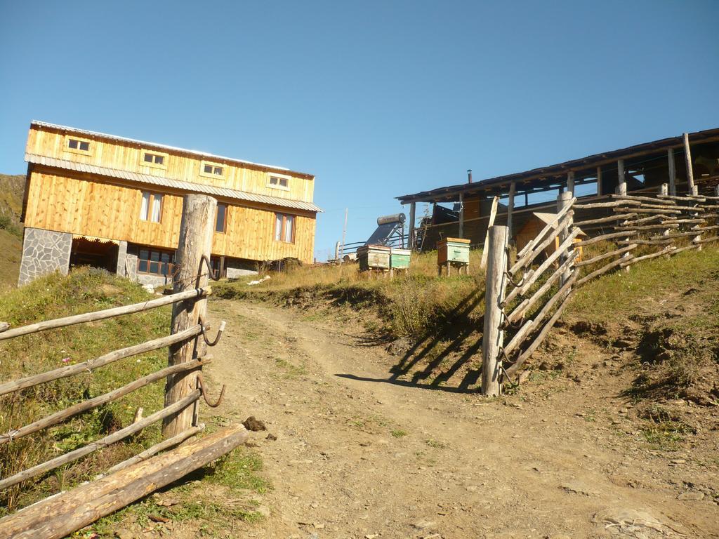 Guesthouse Javakhe Omalo Bagian luar foto